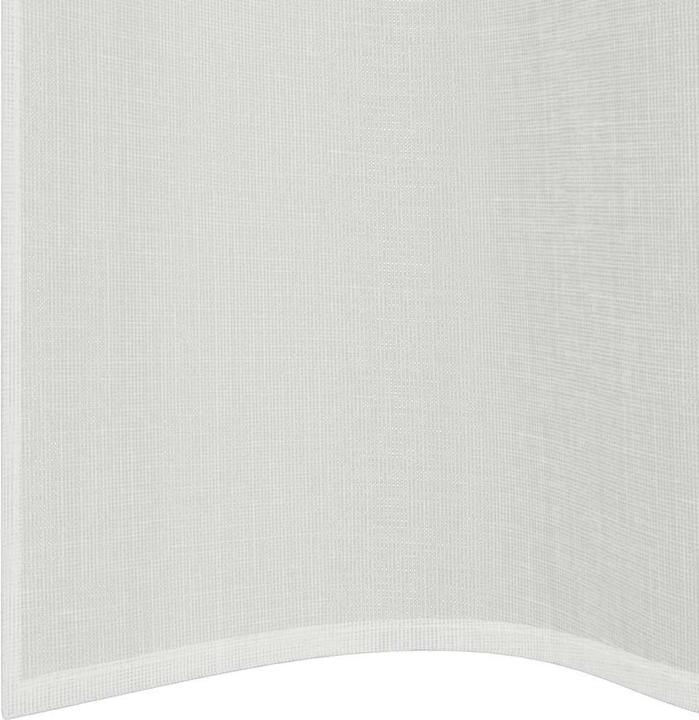 Immagine prodotto VidaXL Proskudiia (140 x 300 cm)