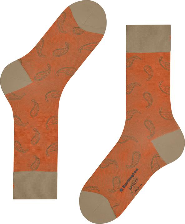 Immagine prodotto Burlington Paisley SO (40 - 46)