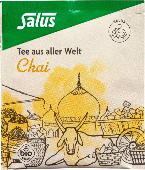 Produktbild Salus Chai-Tee bio, 15 St. Filterbeutel (30 g)