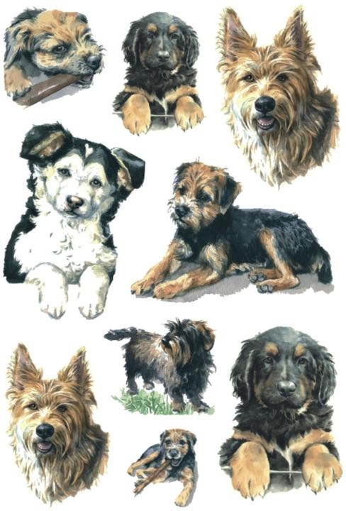 Immagine prodotto HERMA Cani adesivi