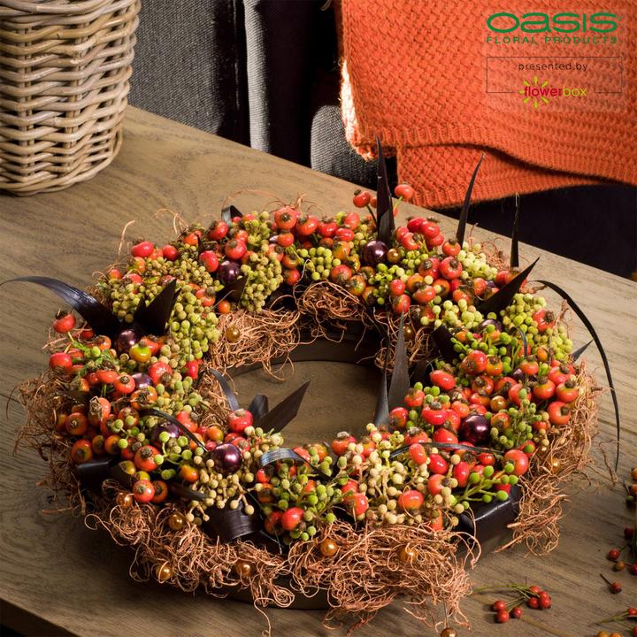 Produktbild Oasis BIOLIT Ring