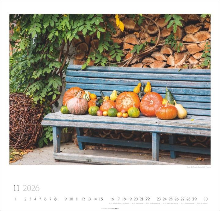 Produktbild Bauerngärten Kalender 2026 (48 x 46 cm, Englisch, Deutsch)