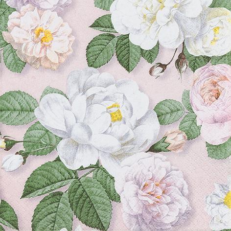 La Rosa rose