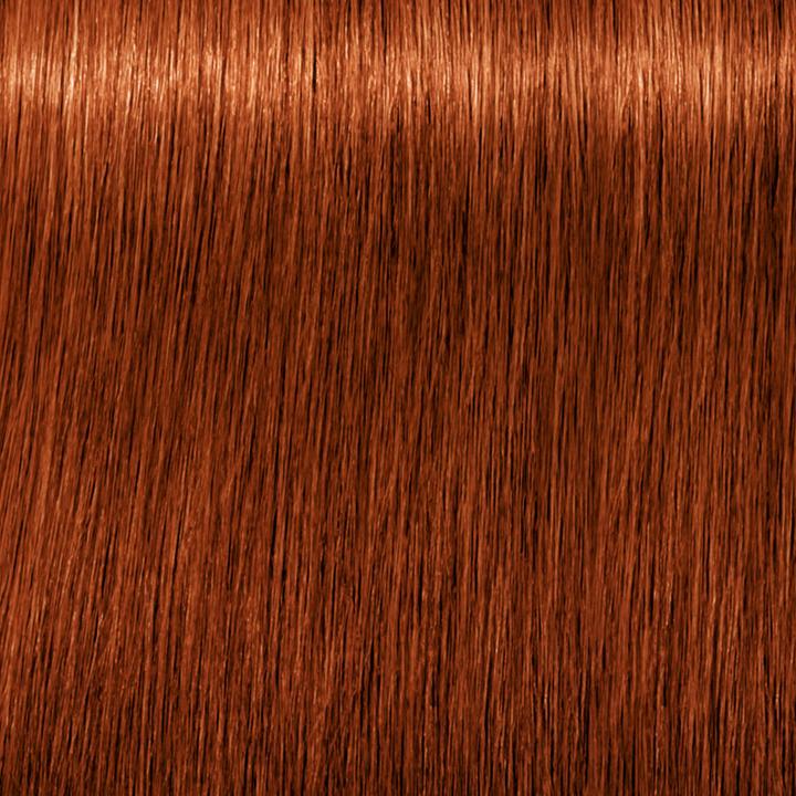 Image du produit Schwarzkopf Professional Igora Royal (6-77 Cuivre blond foncé extra)