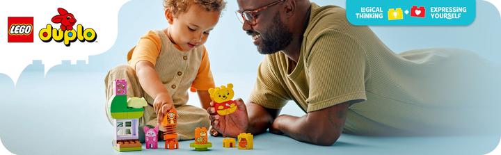 Actual product image LEGO Winnie the Pooh's birthday party (10457)