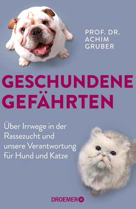 Actual product image Geschundene Gefährten (German, Achim Gruber, 2023)
