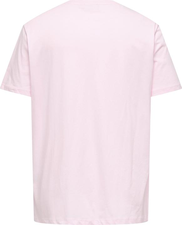 Actual product image Only CARTRUDY T-shirt T-shirt (XL)