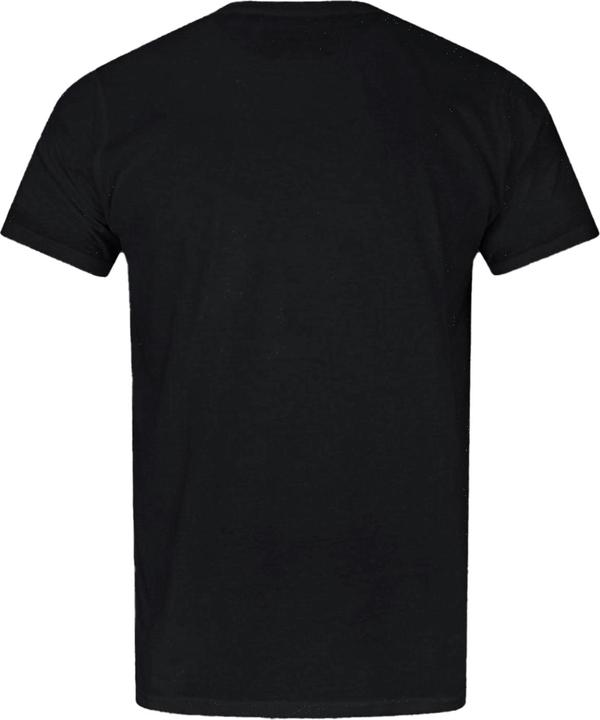 Actual product image Star Wars Official Haynes Darth Vader Tshirt (S)