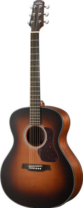 Actual product image Walden W-Git Aud. Ze/Ma E Tob (Western guitar, solid; mahogany, Laminated, Cedar)