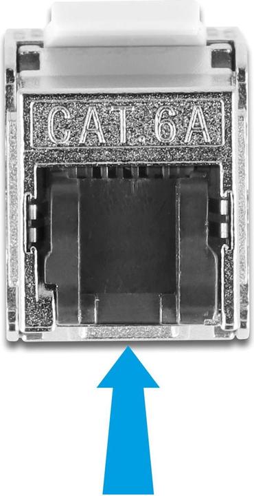 Produktbild Delock Kabel RJ45 Stecker zu Keystone Modul RJ45 Buchse Cat.6A 1 m schwarz (S/FTP, CAT6, 1 m)