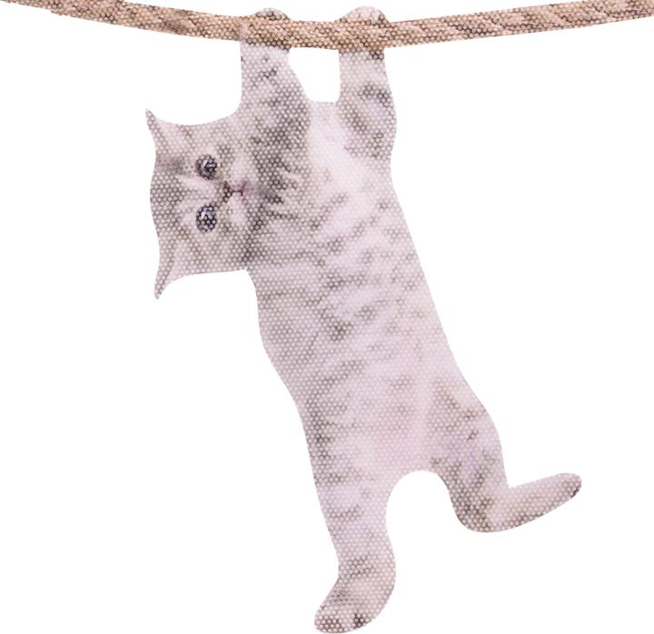 Actual product image Ride With Hanging Cat - Fenstersticker "Katze"