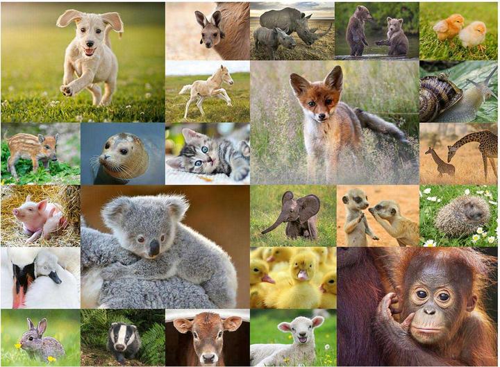 Produktbild Ravensburger Süsse Tierbabys (200 Teile)
