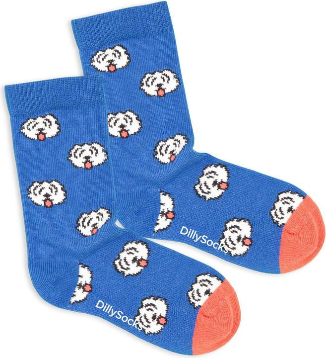DillySocks Kindersocken Lil Fido