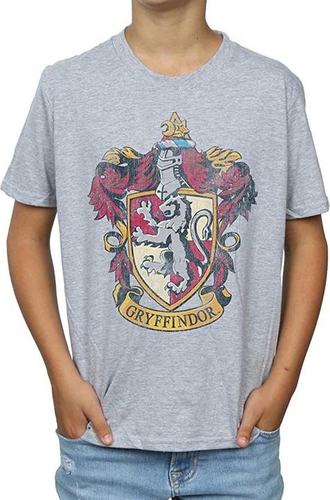 Boys Gryffindor T-Shirt