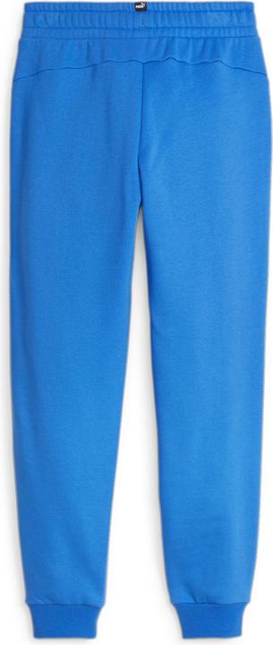 Actual product image Puma ESS Logo Pants FL cl B (140)
