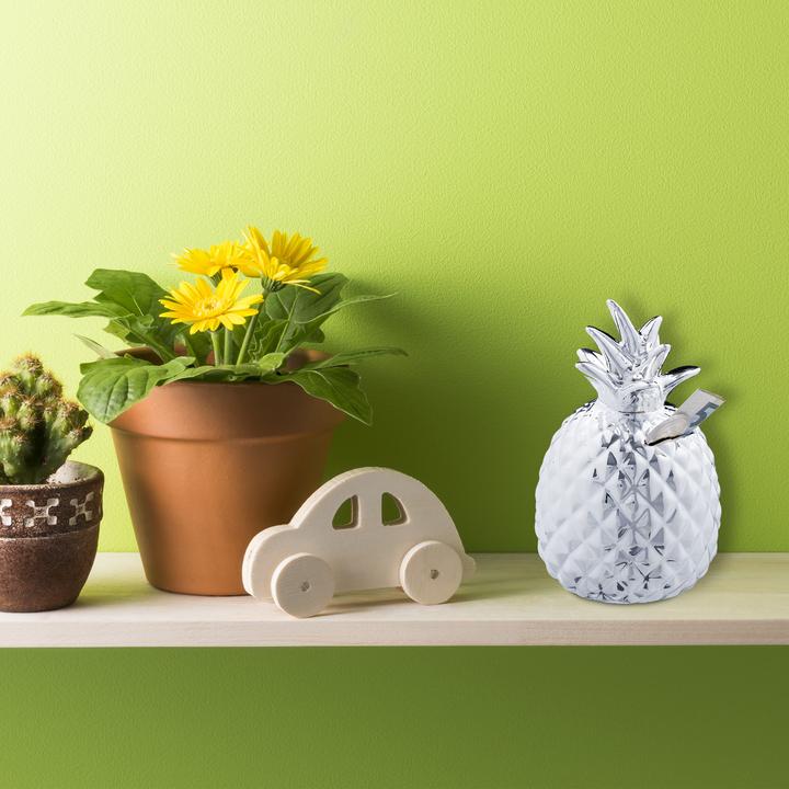 Produktbild Relaxdays Spardose Ananas (9 x 9 x 16 cm)