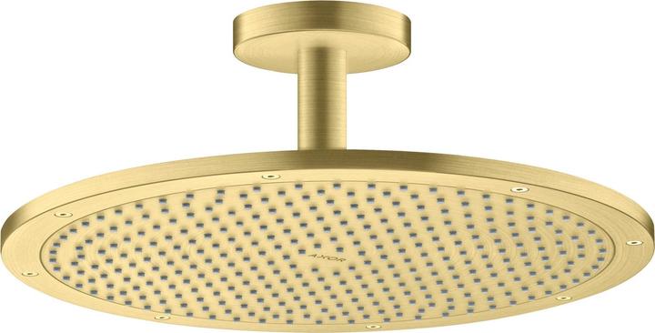 Brushed Brass