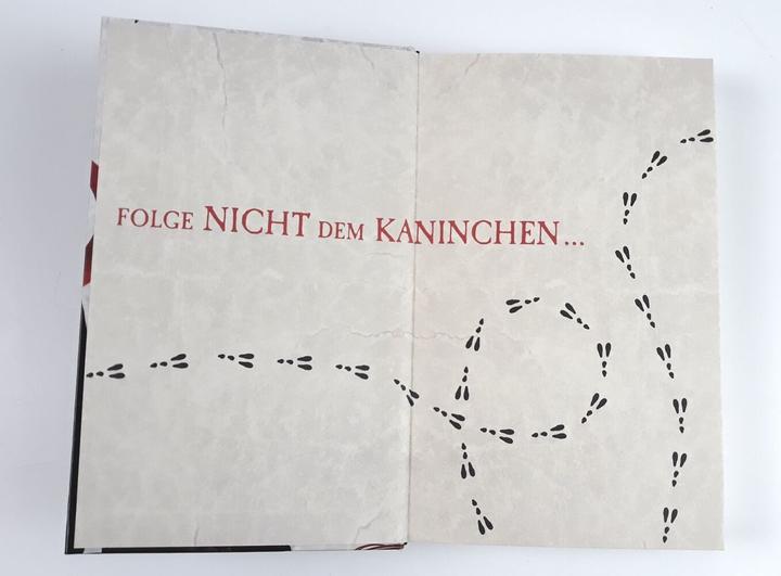 Actual product image Die Chroniken von Alice - Finsternis im Wunderland (German, Christina Henry, 2020)