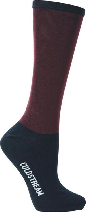 Image du produit Coldstream Chaussettes Pawston Performance (42)