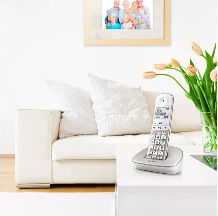 Image du produit Philips XL4901S