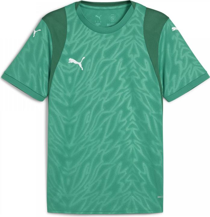 Puma teamCUP Jersey
