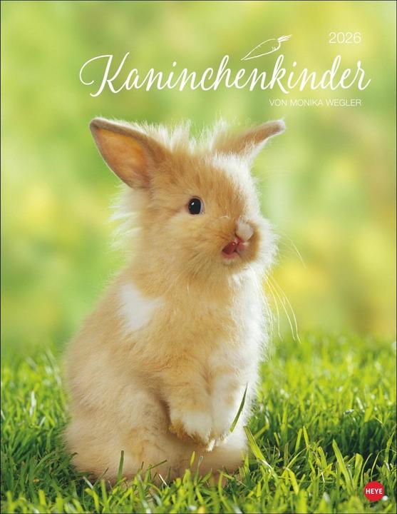 Image du produit Kaninchenkinder Posterkalender 2026 (34 x 44 cm, Couverture rigide, Allemand)