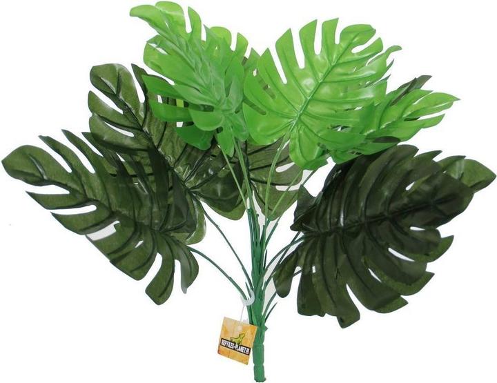 Produktbild Reptiles-Planet Philodendron (Dekoration, Pflanzen)