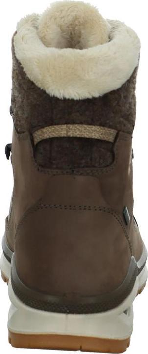 Actual product image Lowa Renegade Evo Ice GTX (38)