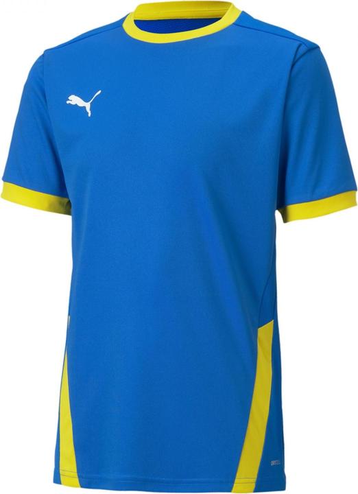 Immagine prodotto Puma Maglia teamGOAL 23 jr-704160 (176)