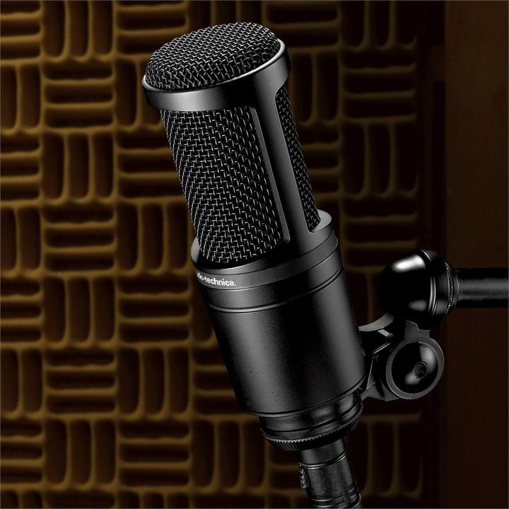 Actual product image Audio-Technica At2020
