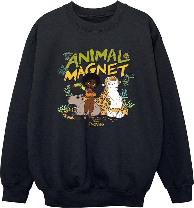 Disney Encanto Animal Magnet Sweatshirt Jungen