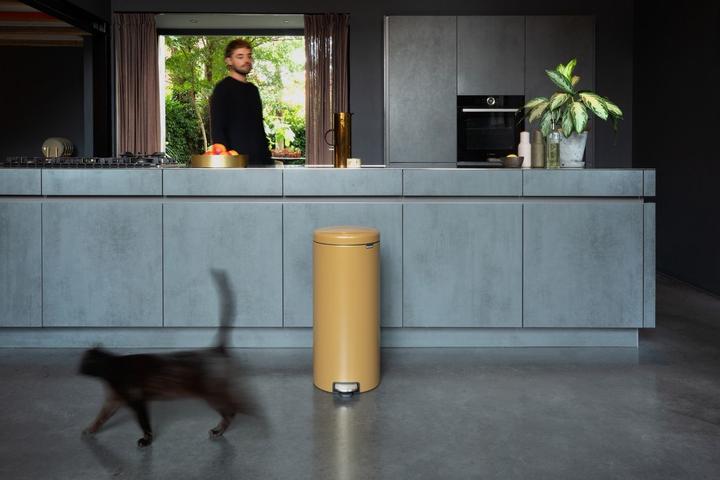 Actual product image Brabantia newIcon (30 l)