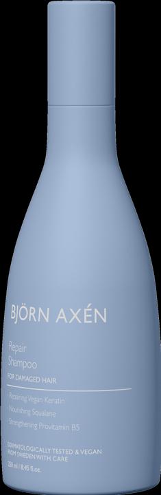 Björn Axen Repair - Shampoo (250 ml, Flüssiges Shampoo)