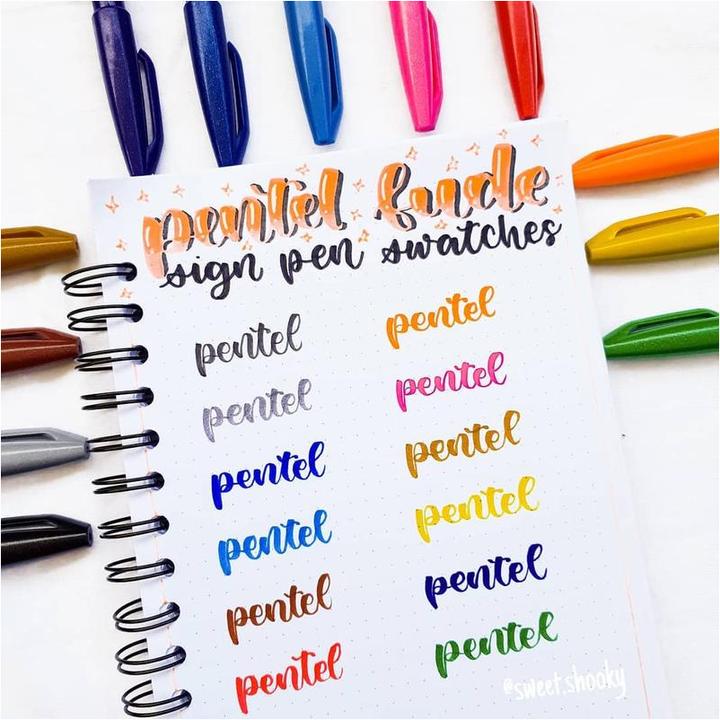 Actual product image Pentel Brush Sign Pen 12s (Blue, Violet, Green, Pink, Red, 12 x)