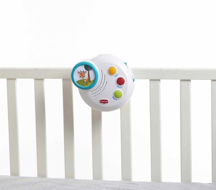 Actual product image Tiny Love Into the Forest