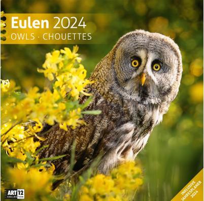 Calendario Gufi 2024 - 30x30 (30 x 30 cm, Tedesco)