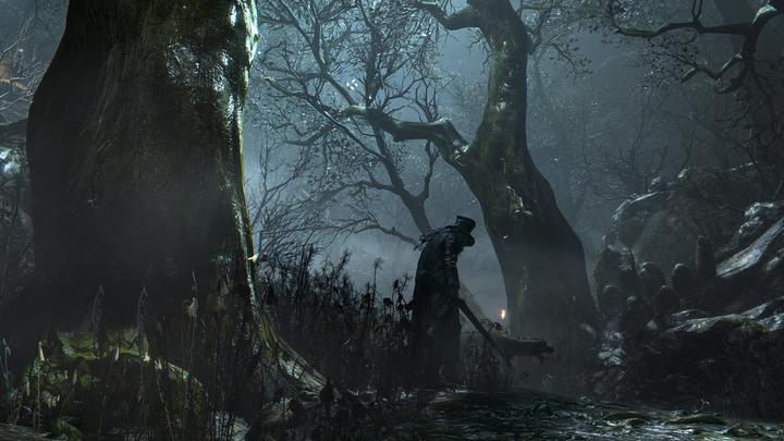 Actual product image Sony Bloodborne (PS4, EN, IT)