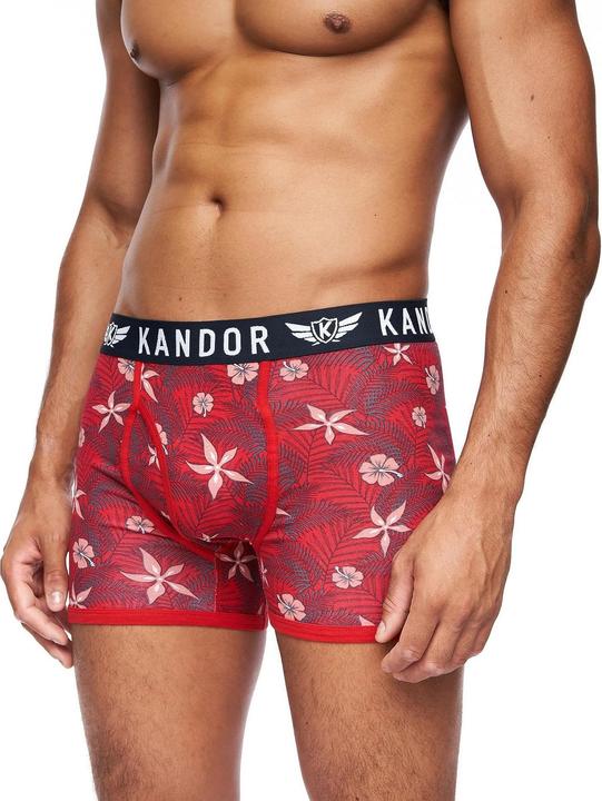 Immagine prodotto Kandor Florid Boxer Uomo Misura Confezione 7 (M, Confezione da 7)