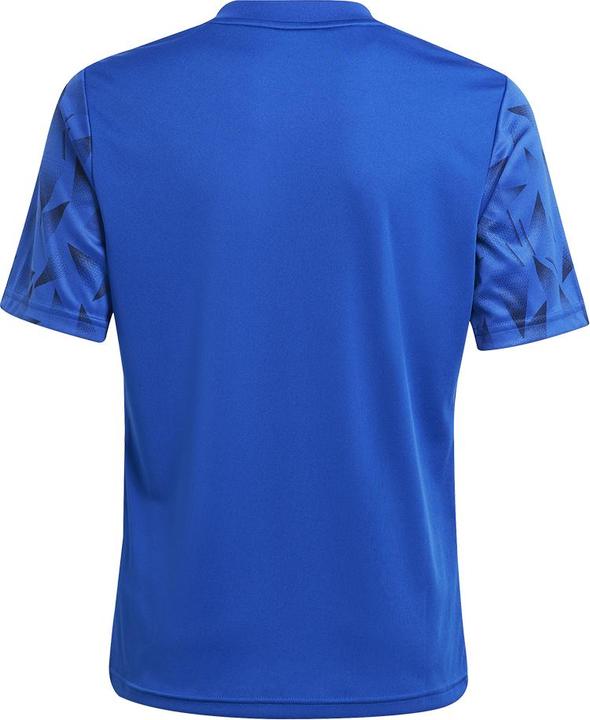 Actual product image adidas Team Icon 25 Jersey Kids (128)