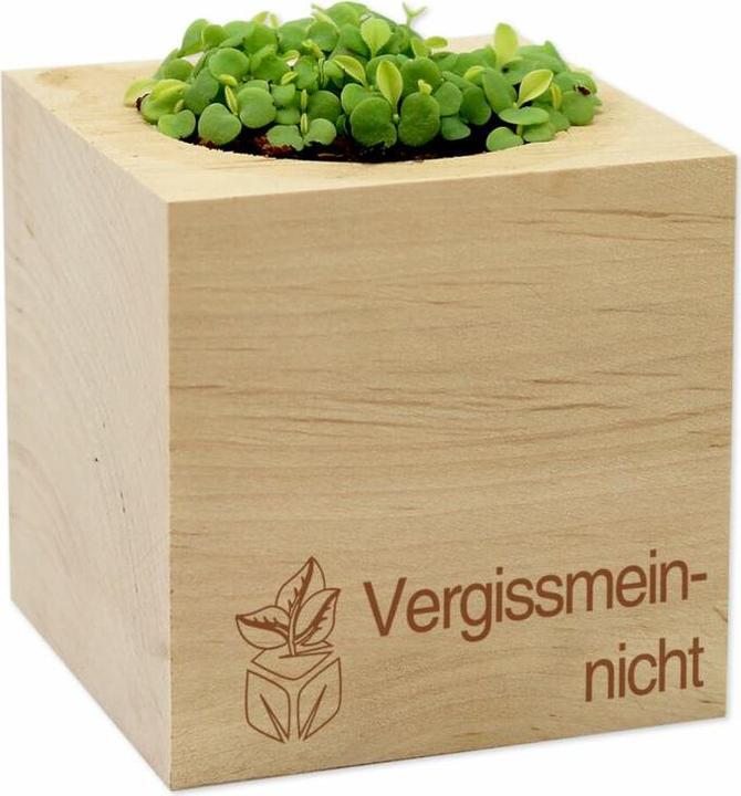 Produktbild Feel Green Ecocube (Blumensamen)