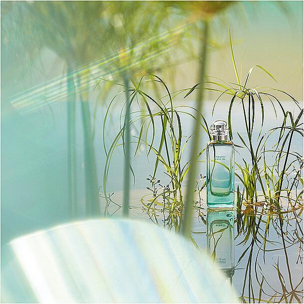 Actual product image Hermès Un Jardin sur le Nil (Eau de toilette, 50 ml)