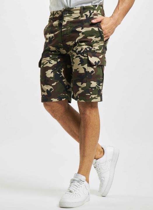 Produktbild Dickies Millerville Shorts (28)
