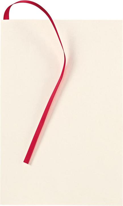 Immagine prodotto Transotype sensoBook FLAP REFILL (A5, Righe, Nessuna rilegatura)
