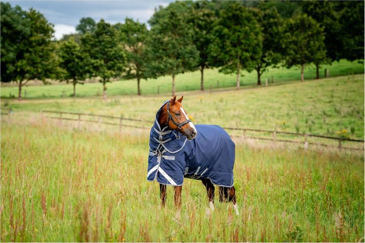 Produktbild Horseware Weidedecke Rhino Plus Turnout 100g