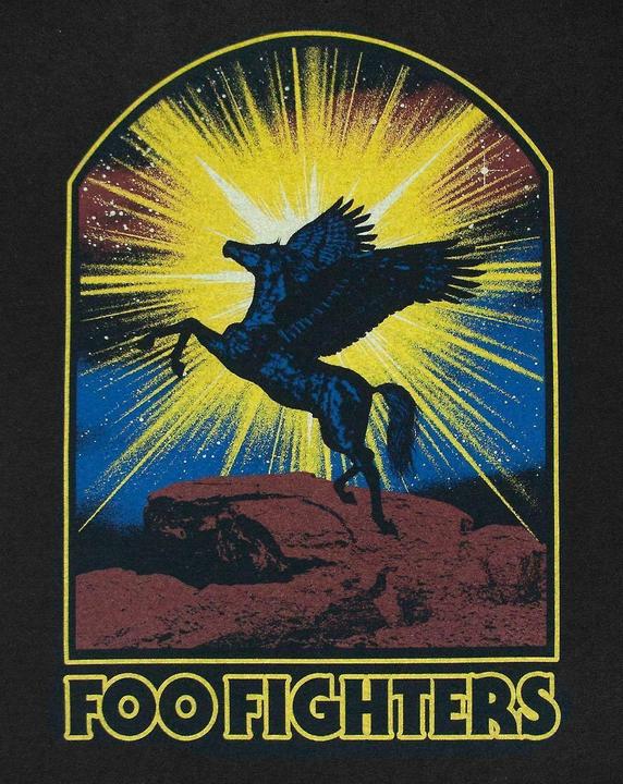 Immagine prodotto Foo Fighters Maglietta Cavallo Uomo (M)