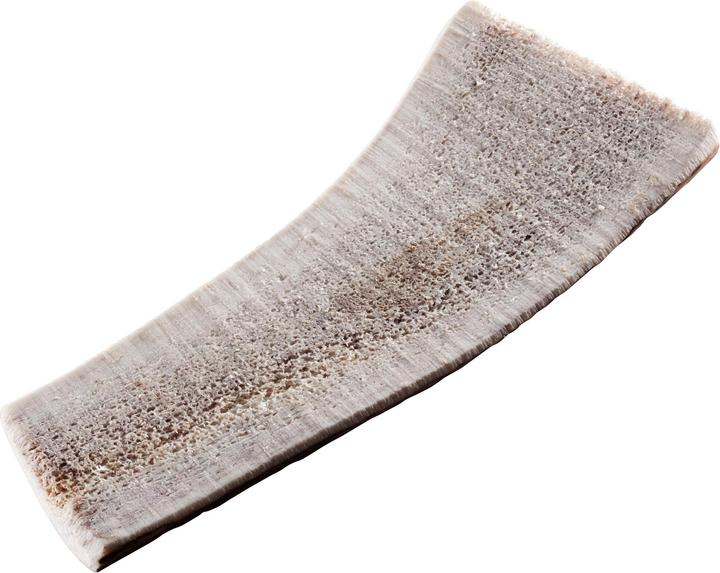 Actual product image Chewies Antler rod (Adult, 1 pcs., 80 g)
