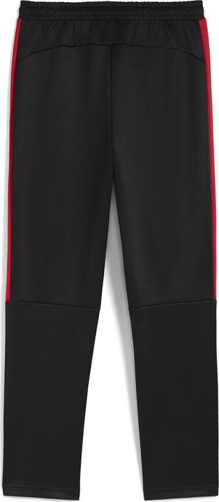Actual product image Puma Ferrari Race MT7 (L)