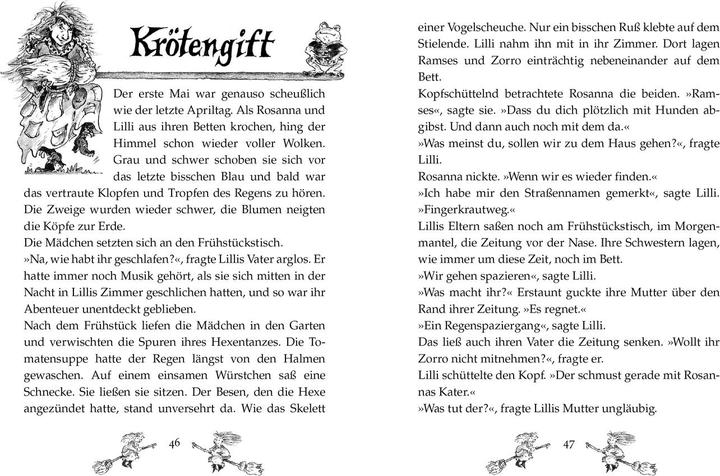 Actual product image Zwei wilde kleine Hexen (German, Cornelia Funke, 1994)