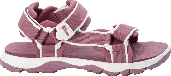 Ash Mauve