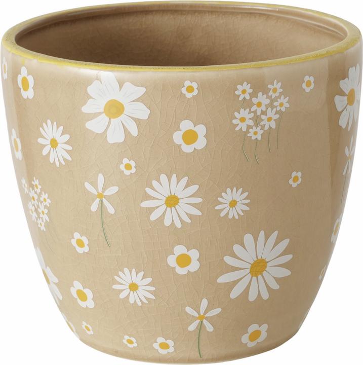 Immagine prodotto Boltze Home Miele
